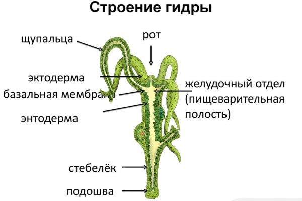 Кракен запрещенные вещества