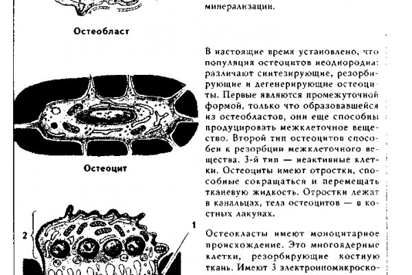 Кракен ссылка онион зеркало